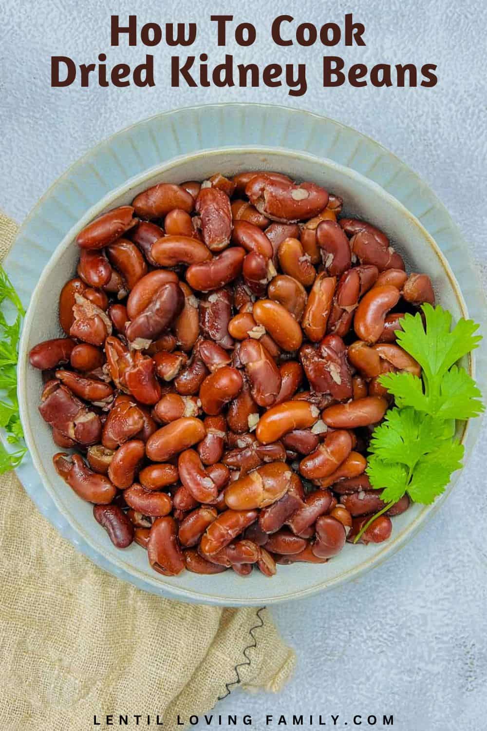 Perfectly cooked red kidney beans in a white bowl topped with fresh cilantro.