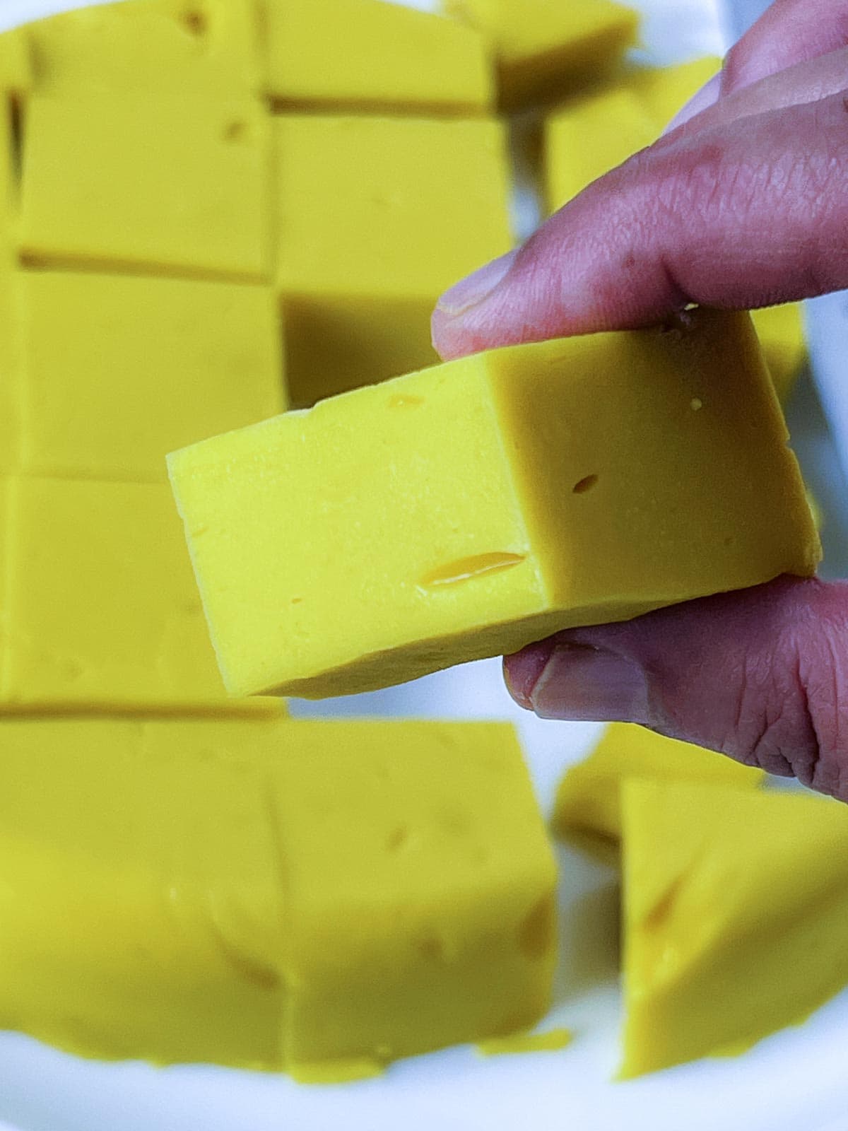 Holding a cube of chickpea tofu showing texture.