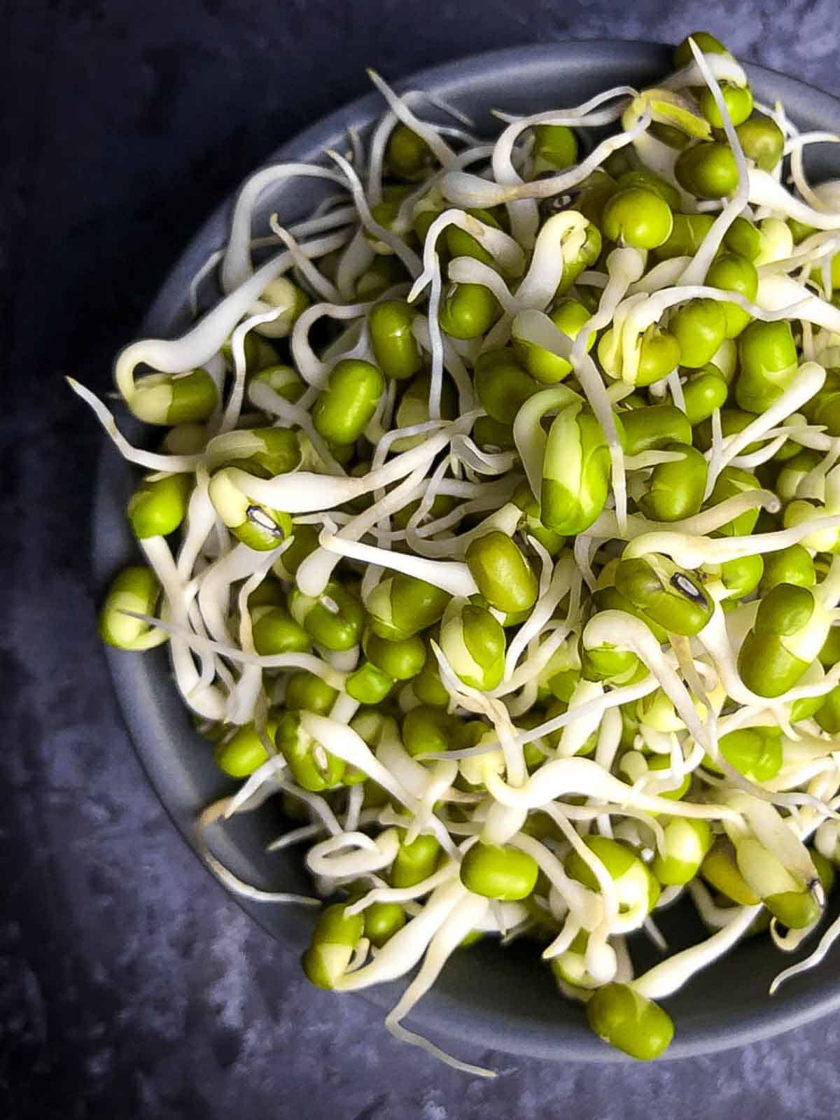 Sprouted mung beans stored in a grey bowl.