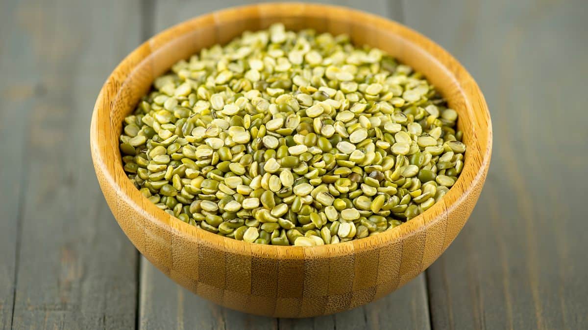 Green lentils in a small bowl.
