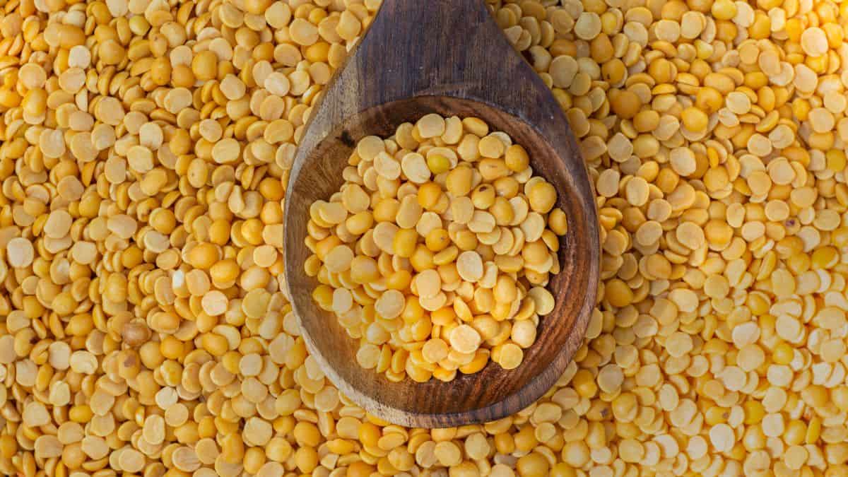 Close up of toor dal.