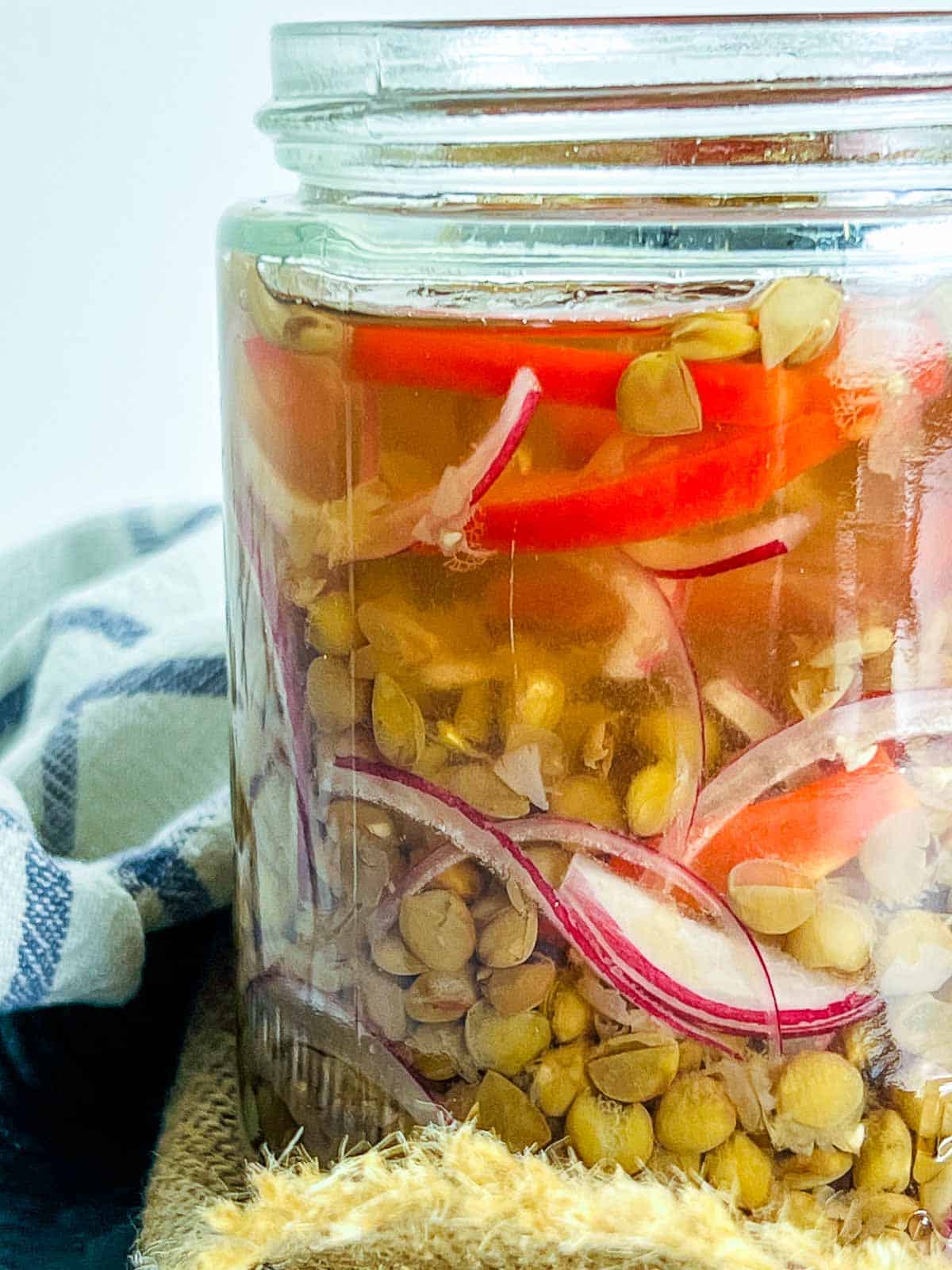 Pickled lentils side view from the jar.
