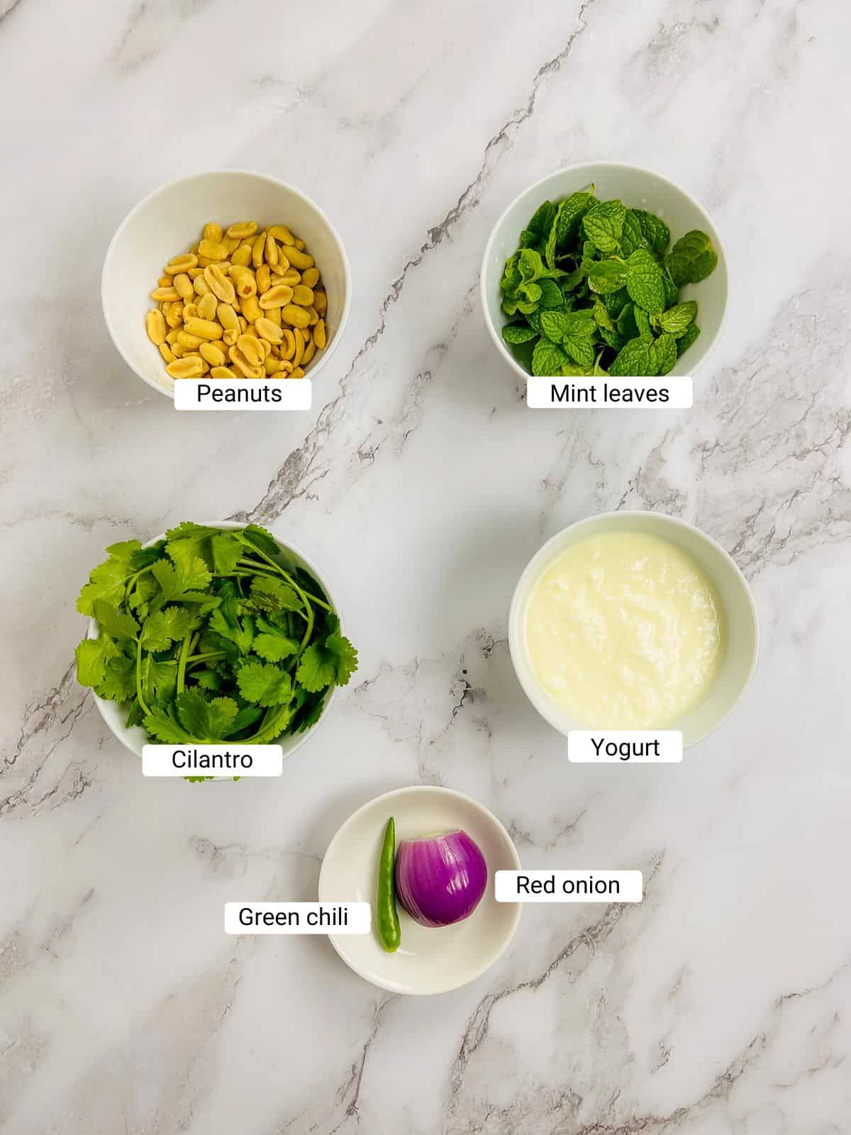 Ingredients to make mint yogurt chutney on a marble surface.