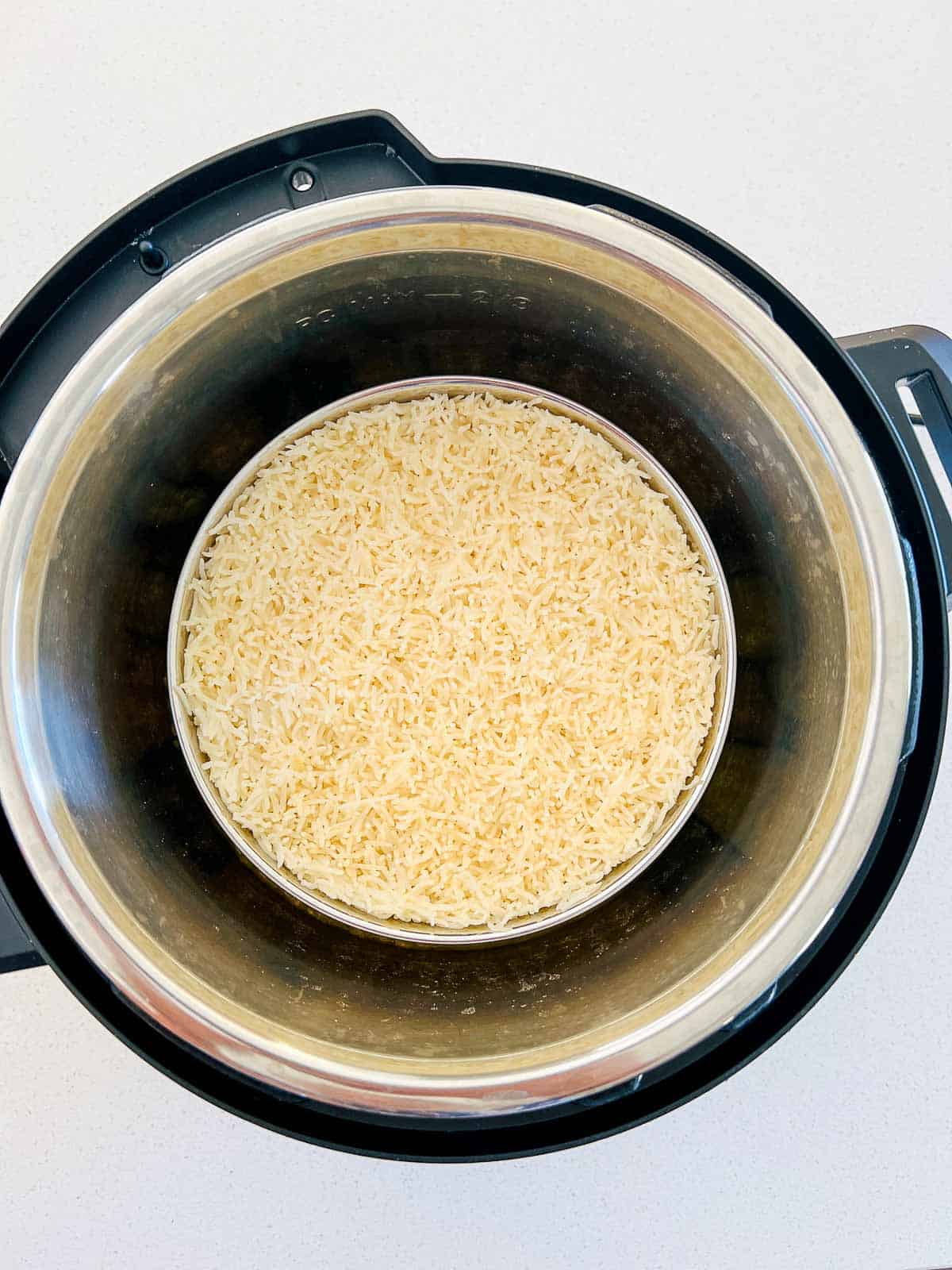 Cooked rice bowl in the Instant Pot.