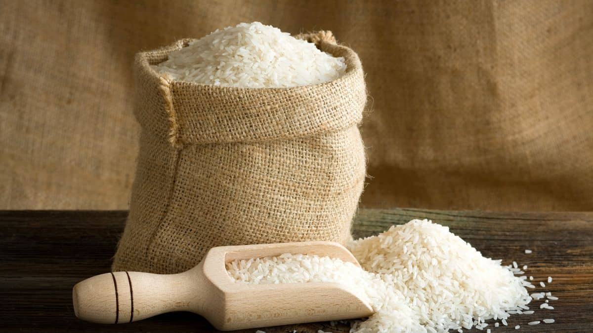 Uncooked rice in a jute bag.