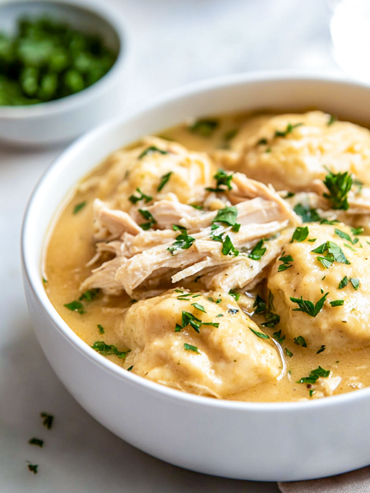 Close up of a bowl of chicken and dumplings.