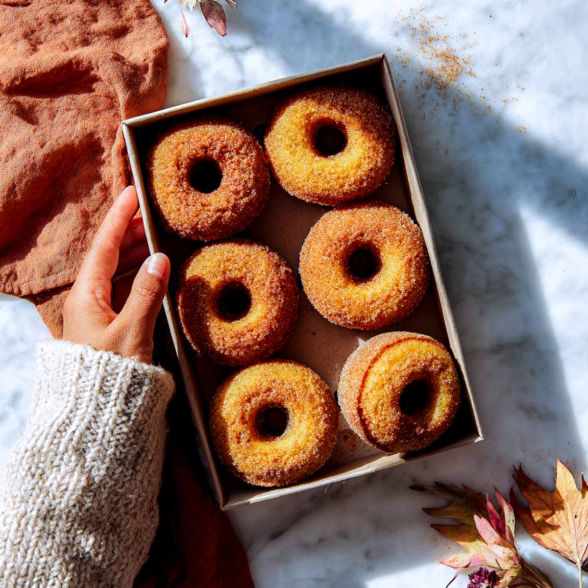 Hand holding a box of baked pumpkin cottage cheese donuts.