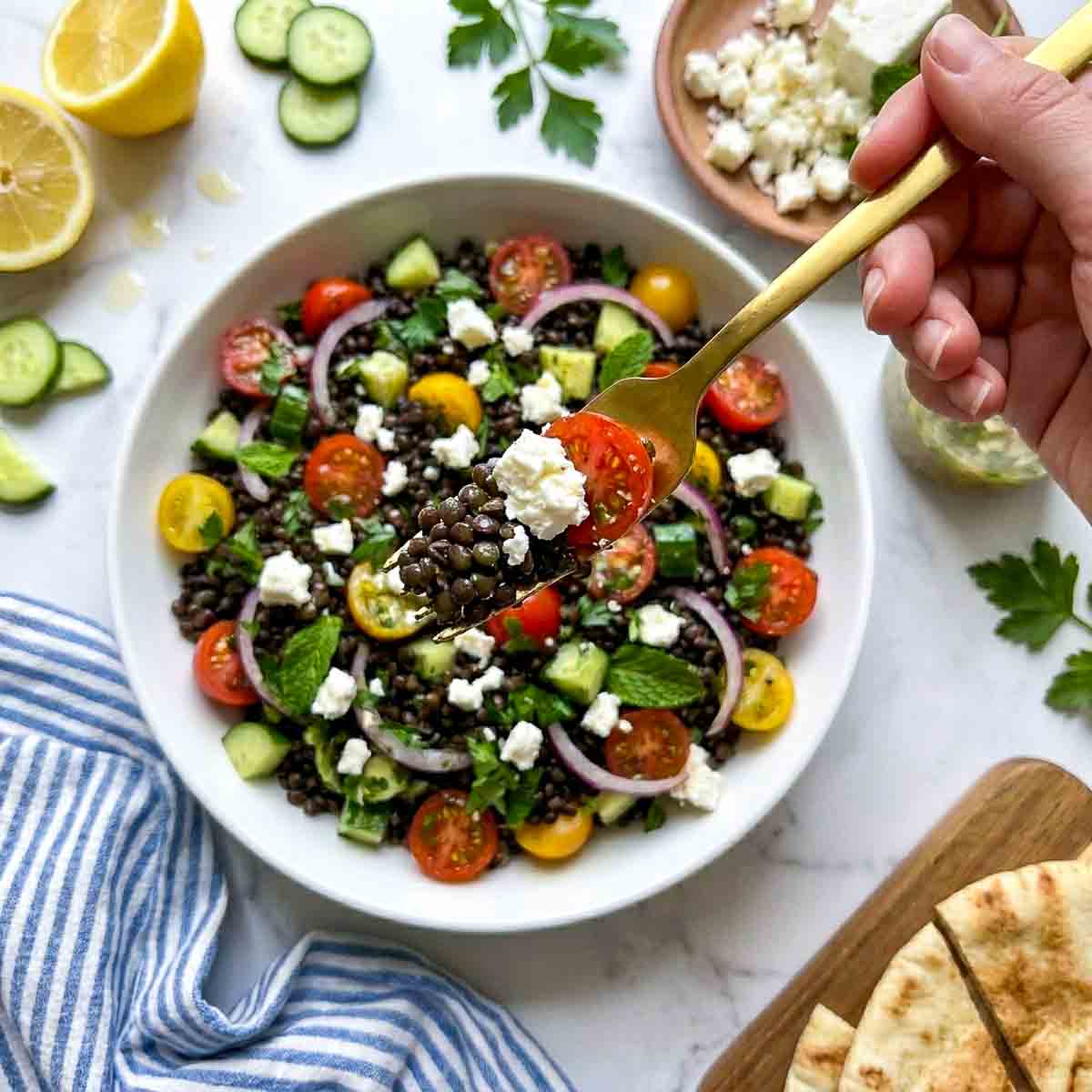 Spoonful of black lentil salad with feta cheese, tomato, cucumber, and fresh herbs lifted above a bowl of Mediterranean-style lentil salad.