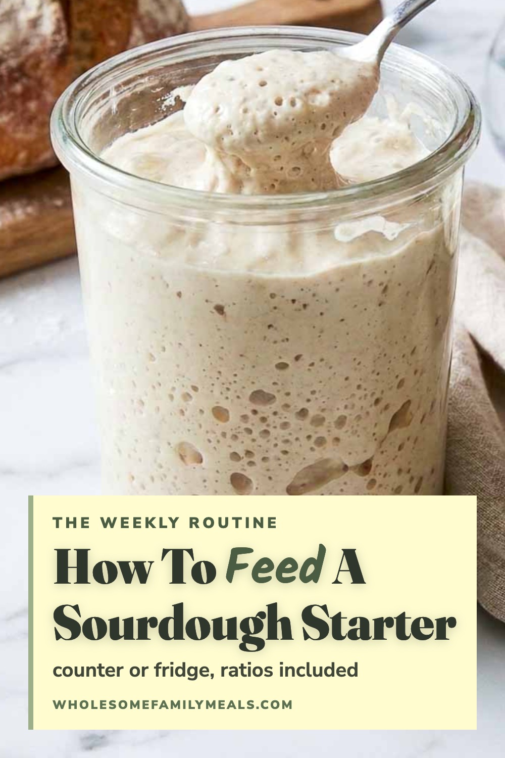 A Pinterest image of a well-fed sourdough starter scooped on a spoon.