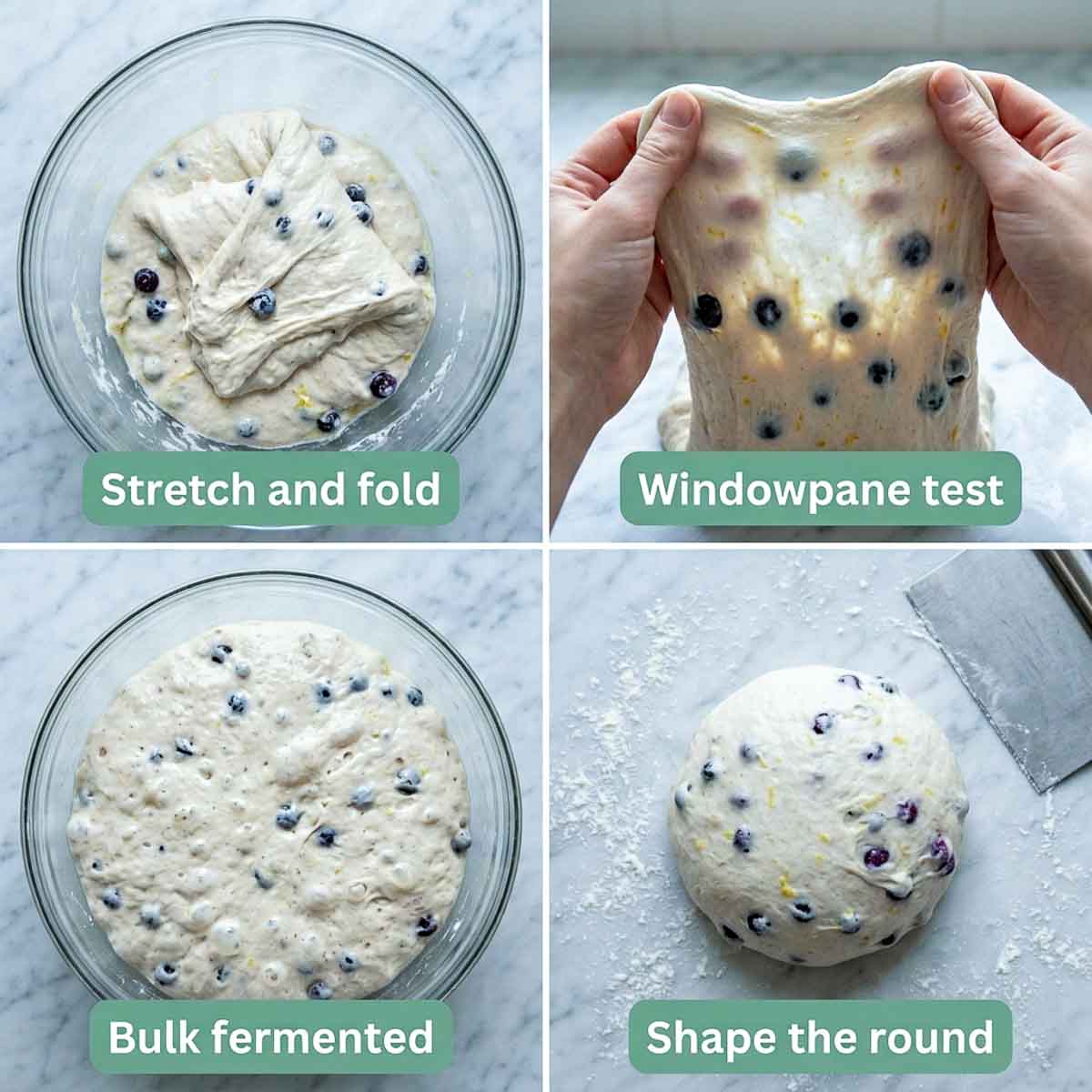 Four steps showing stretch and fold, the windowpane test with blueberries visible through the dough, bulk fermented dough, and the shaped round.