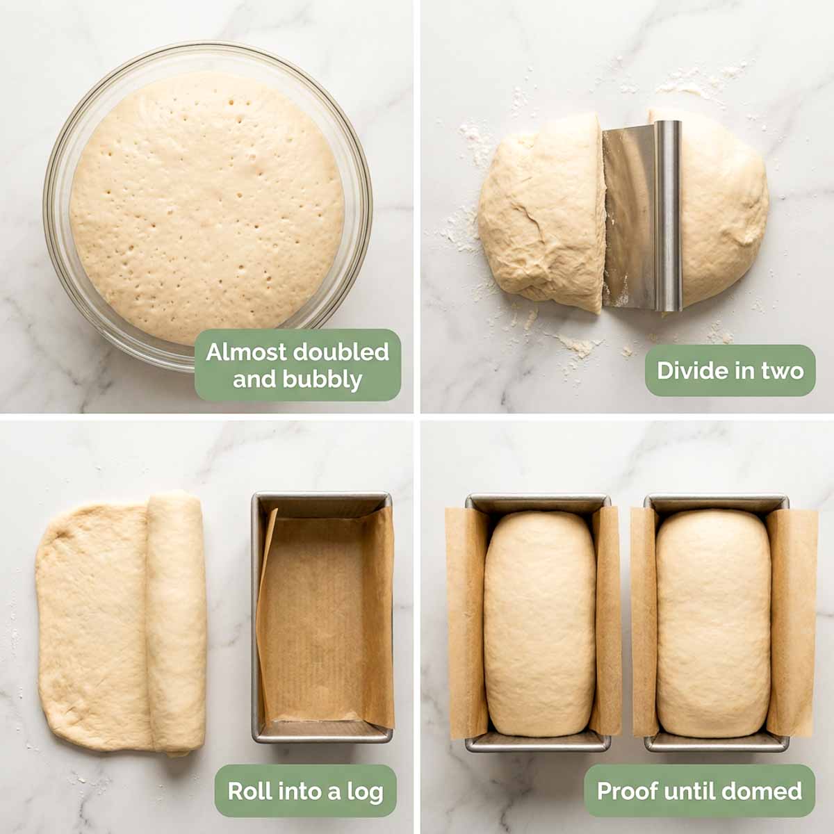 Four step collage showing risen sourdough dough, dividing it in two, rolling it into a log, and proofing in two loaf pans.