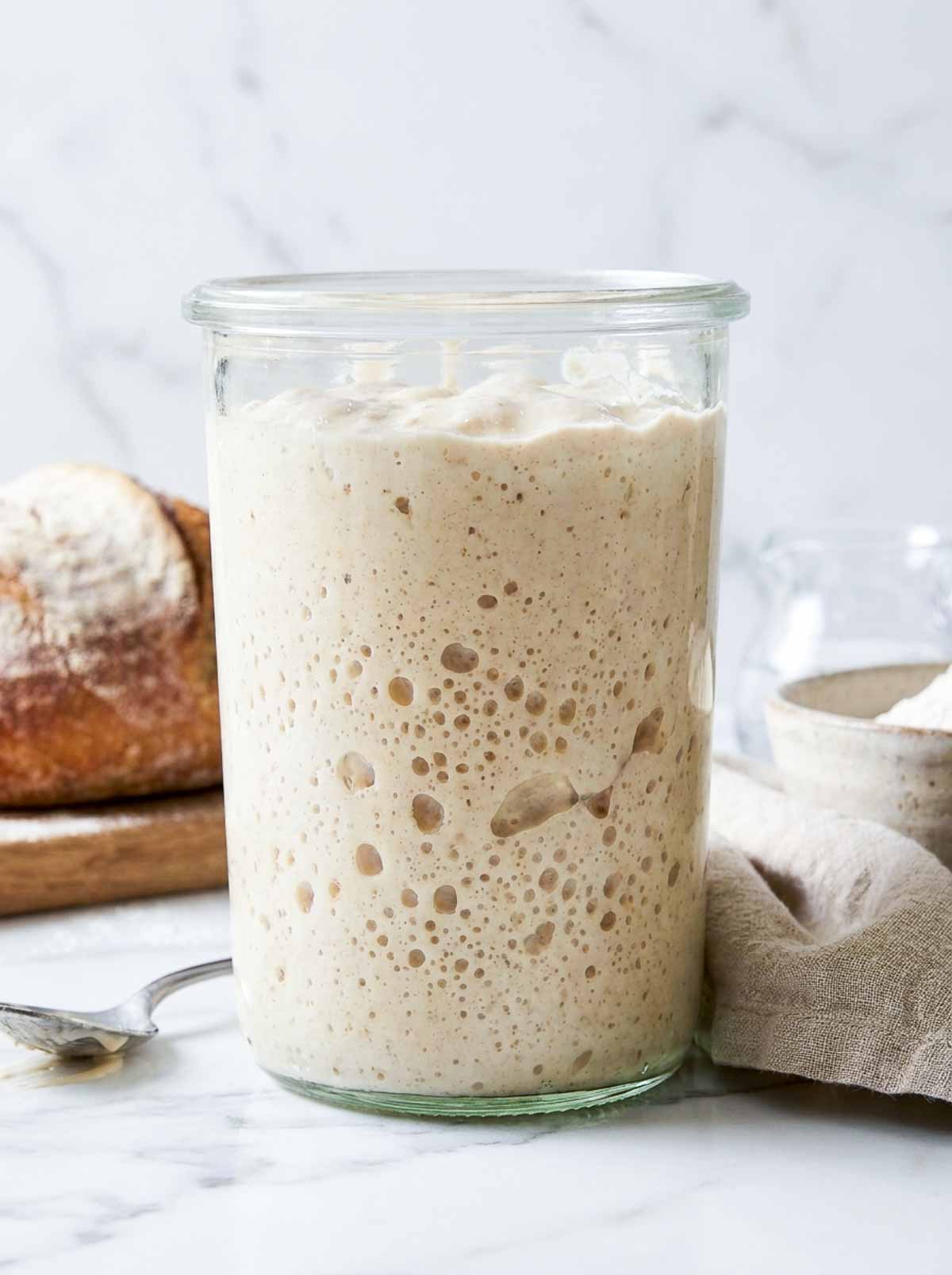 Well fed sourdough starter risen to the top of a glass jar.