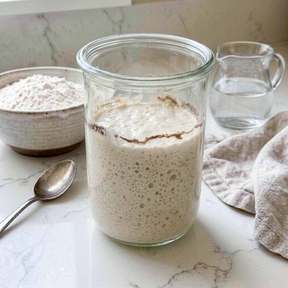 Jar of well-fed sourdough starter on a kitchen counter.