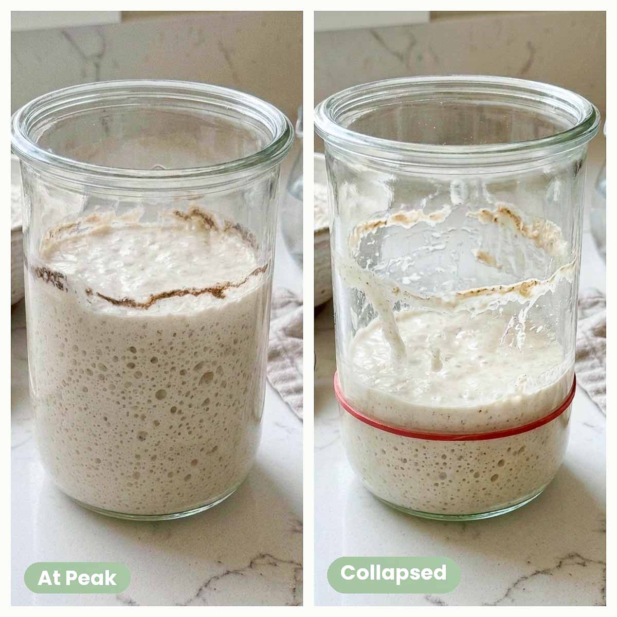 Sourdough starter at peak beside the same starter collapsed, showing the residue line on the glass.