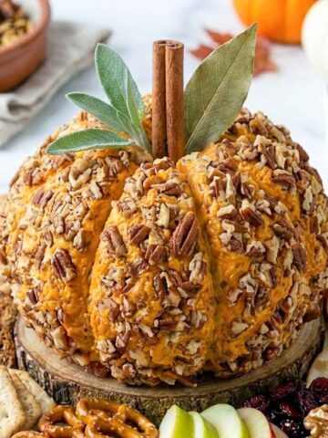 Pumpkin cheese ball coated in chopped pecans with a cinnamon stick stem and sage leaves, surrounded by crackers, pretzels and sliced apples.