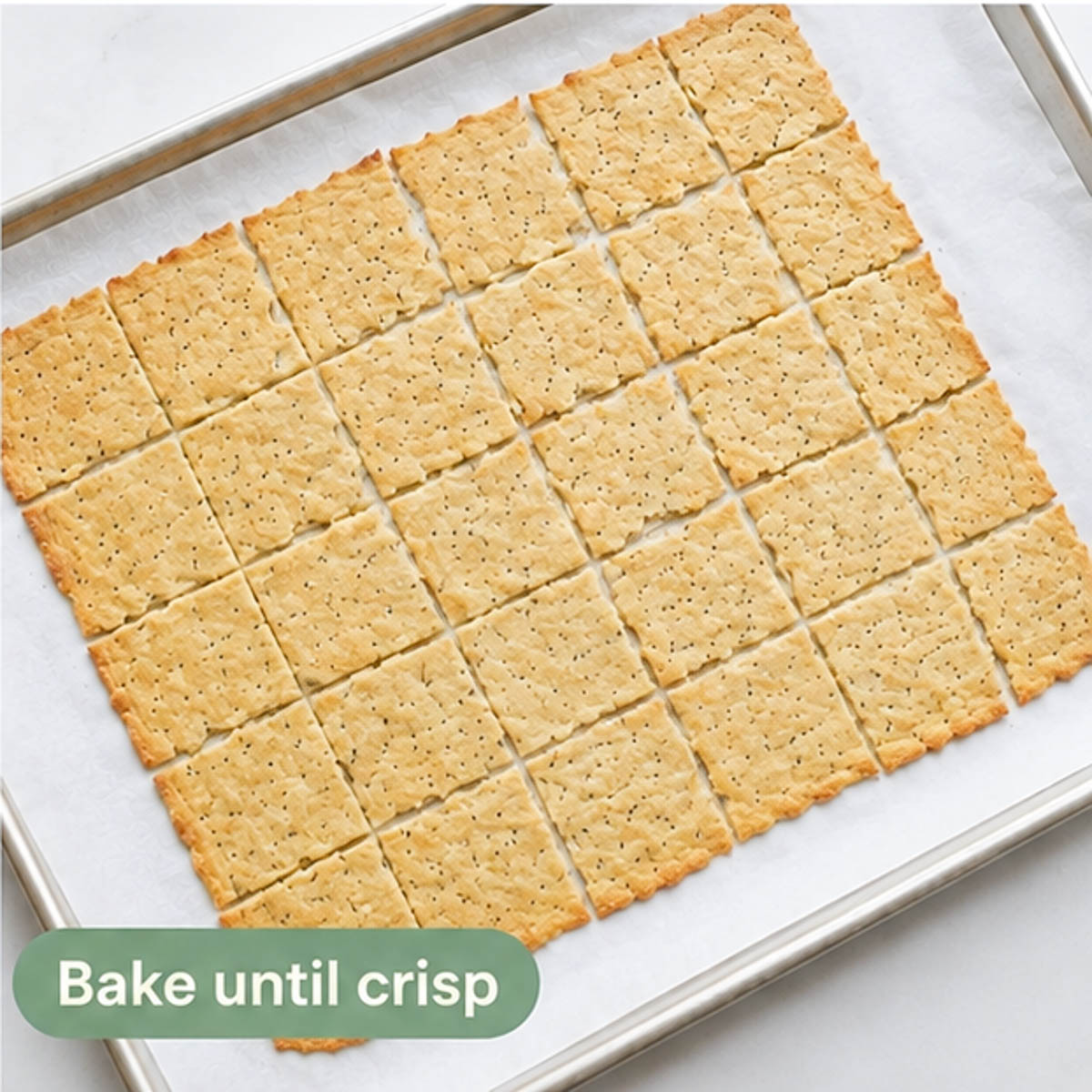 Golden-brown sourdough crackers baked until crisp on a parchment-lined baking sheet.